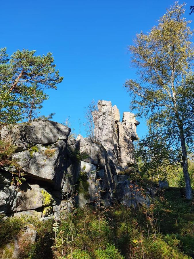 Gaestehaus Aurelia Wiesau Eksteriør billede